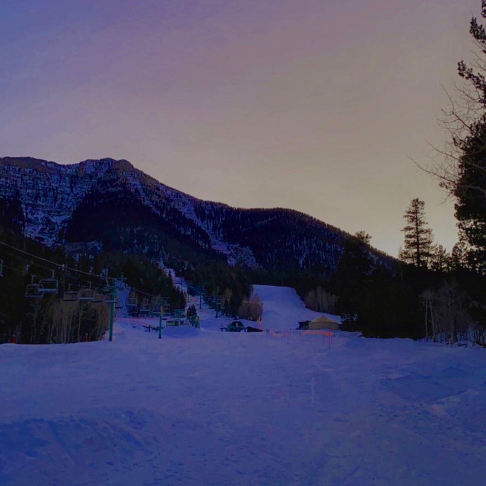 Meet your Posher, Lin